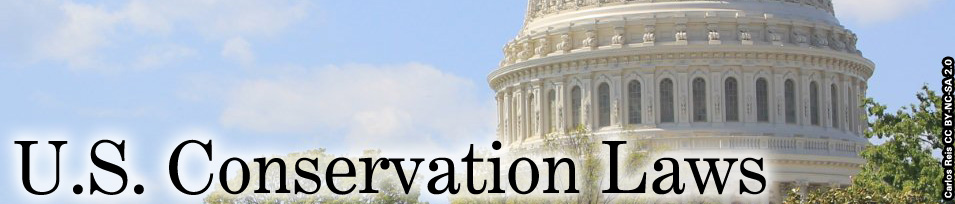 Rotunda of the U.S. Capitol Building. Credit: Carlos Reis CC