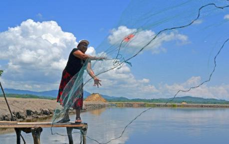 A USAID beneficiary casts her net. She received financial support to improve her shrimp business.