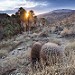 Santa Rosa and San Jacinto Mountains National Monument