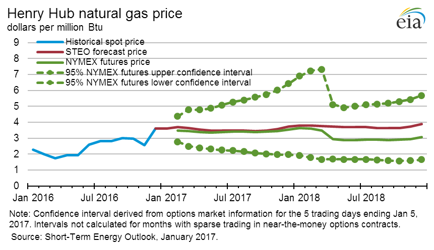 Figure 4: Henry Hub Natural Gas Price