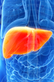 Liver Disease