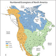 Numbered Ecoregions of North America (2008)