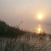 Sunrise over a wetland habitat