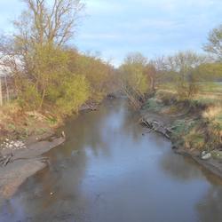 View of Old Mans Creek near Iowa City, Iowa