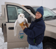 Snowy owls may pose hazards to aircraft.