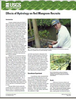 Effects of hydrology on red mangrove recruits