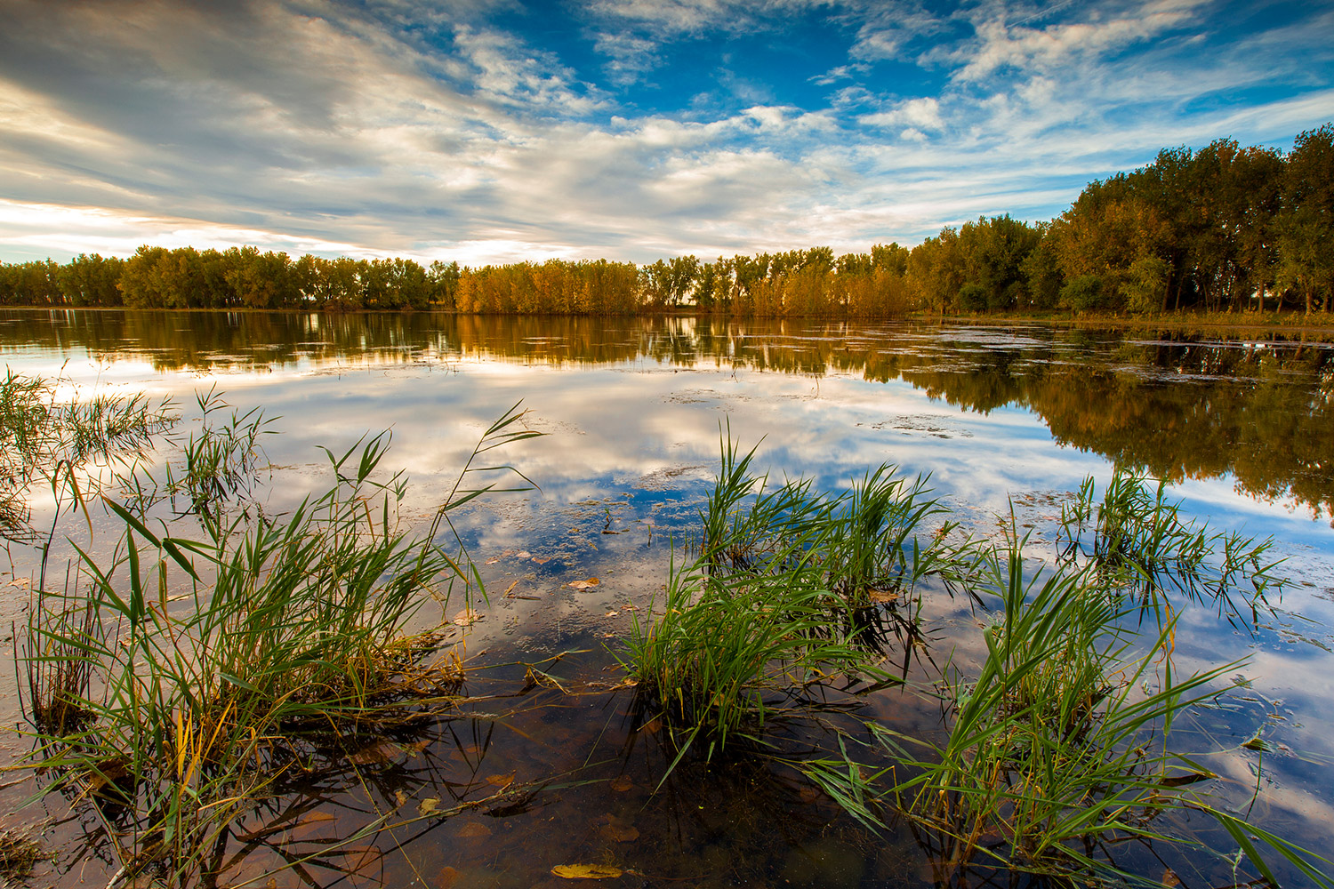 Water landscape photo taken at an urban refuge. Credit: Ian Shive.