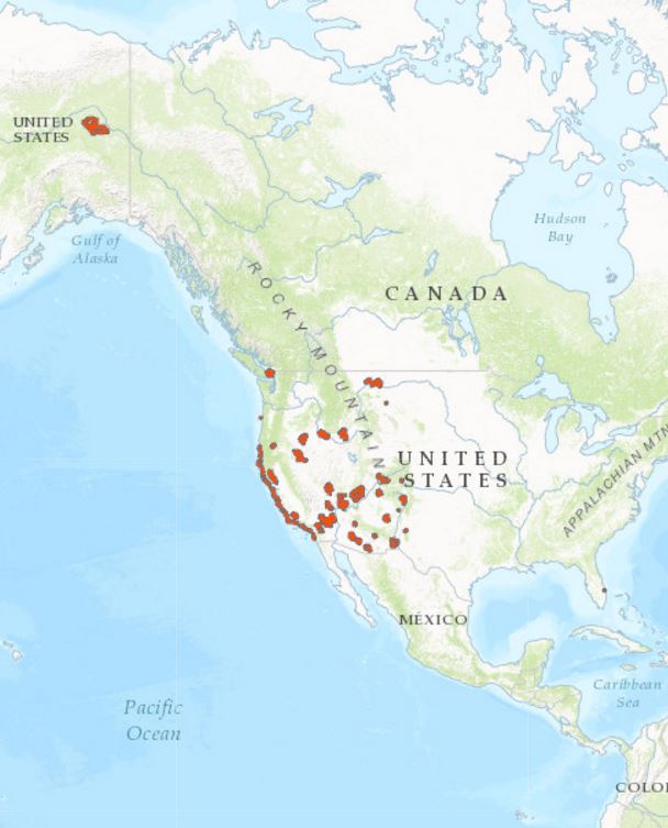 Map of the United States with outlines of the National Monuments, National Conservation Areas and Similar Designations. It links to the interactive recreation map.