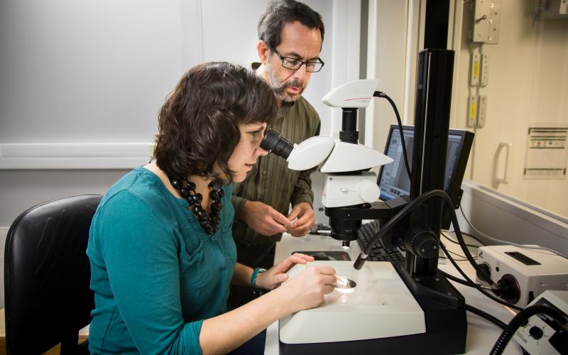 Brenda Pracheil and Bryan Chakoumakos examine the structure of an otolith under a microscope.