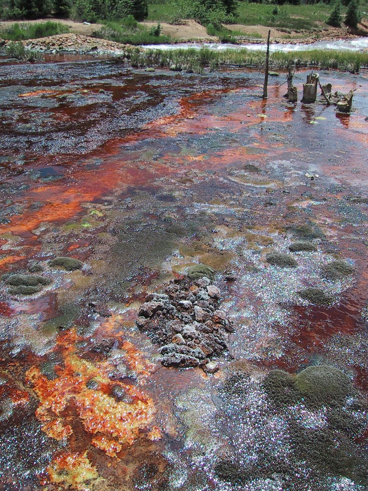 Image: Natural Iron-rich Acidic Spring Flowing into Cement Creek