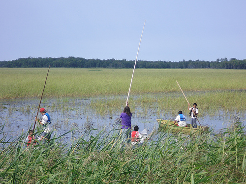To help meet the needs of Tribal Nations and provide transparency and pricing information, we recently developed the National Tribal Grown, Produced or Harvested report. Pictured here is a Native American Leech Lake Band of Ojibwe youth tending to a rice crop on the Leech Lake Reservation in Minnesota