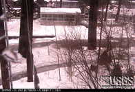 USGS, California Water Science Center, Truckee River Webcam