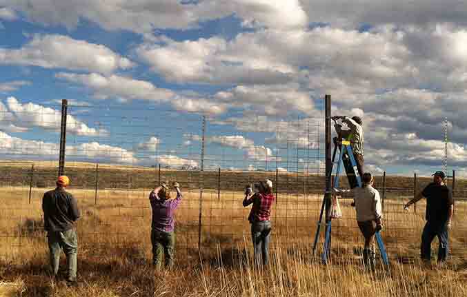 NRPC staff  build an elk fence at Arapaho National Wildlife Refuge, CO.