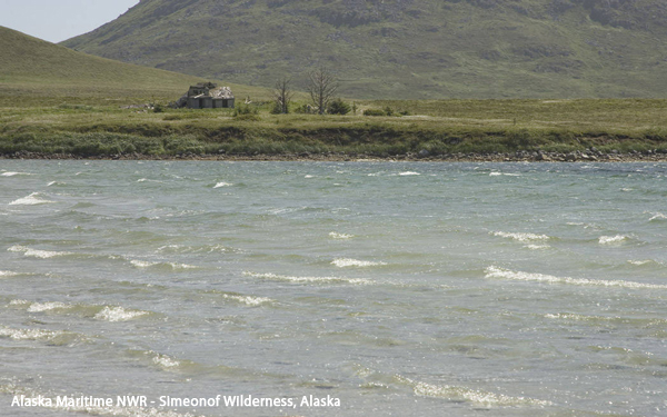 Alaska Maritime NWR - Simeonof Wilderness