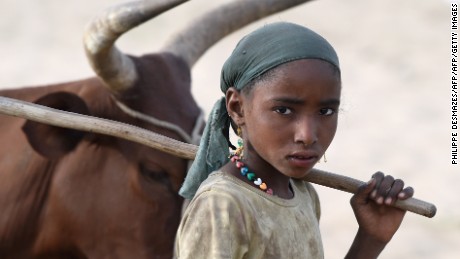 A girl walks next to a herd of cows close to the village of Guite in Chad&#39;s lake region, north of the capital NDjamena on March 30, 2015.   AFP PHOTO/PHILIPPE DESMAZES        (Photo credit should read PHILIPPE DESMAZES/AFP/Getty Images)