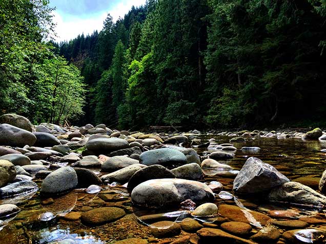 The Salmon River is designated for its entire length, from its headwaters in the snowfields high on Mt. Hood to its confluence with the Sandy River. Only an hour's drive from Portland, this clear river cascades over numerous waterfalls in the Salmon-Huckleberry Wilderness before reaching its lower forested canyons. The river's proximity to metropolitan Portland, Oregon, makes it easy for people to enjoy the diverse recreational opportunities that the river offers.  The Salmon River drainage incorporates portions of two major physiographic zonesÃƒÂ¢Ã¢â€šÂ¬Ã¢â‚¬Âthe Cascade Mountain range and the Columbia Basin. As a result, the corridor contains great faunal, floral and topographic diversity, with alpine environments, narrow basalt canyons, and wide floodplains with associated wetlands.  The river's outstandingly remarkable values include its scenery, recreation, fisheries, wildlife, hydrology and botany.