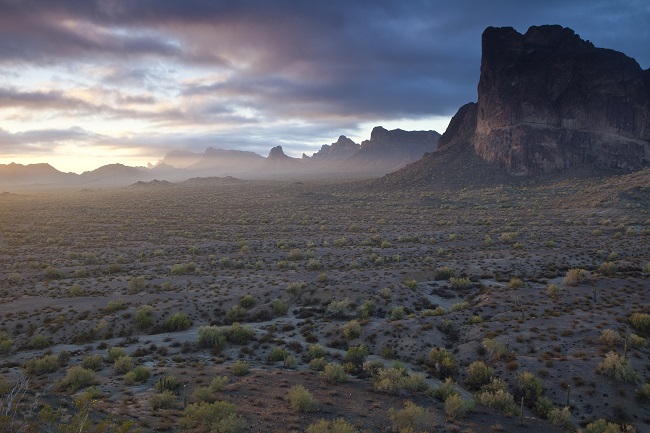 The Mountains in Eagletail Mountains Wilderness.. Photo by Bob Wick.