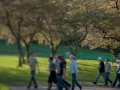 Photograph of people walking outside on a Self-Guided Tour of Capitol Hill