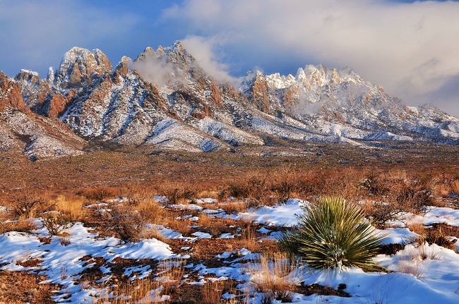 Winter at the Organ Mountains. Photo by Lisa Phillips.