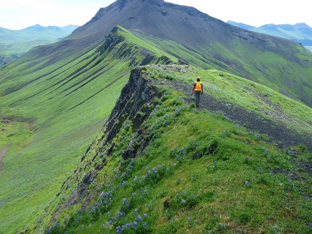 Woman walks along a green ridge in a rugged landscape