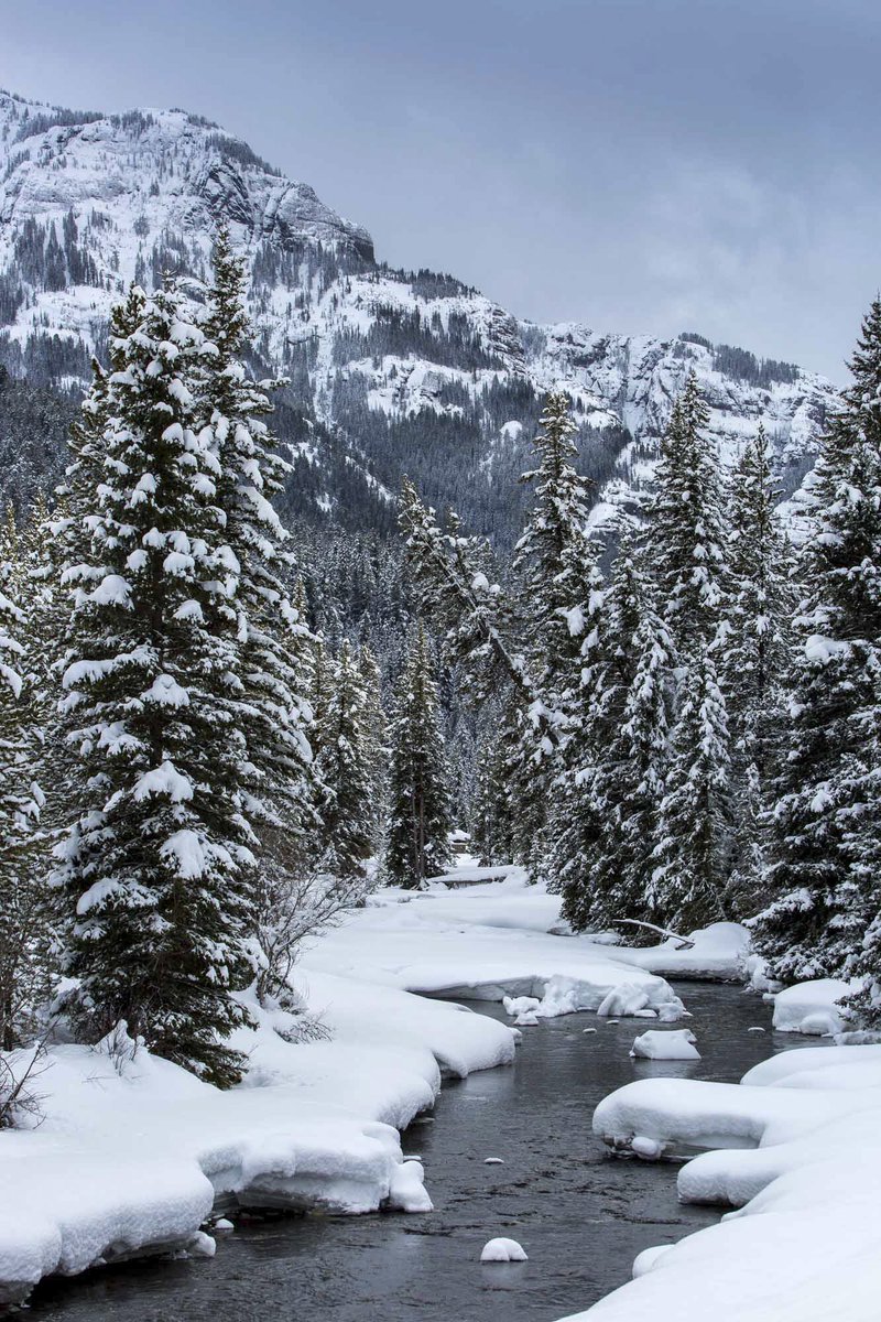 Snow blankets mountains, trees and the banks of a river