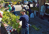 The Persephone Brewing Team