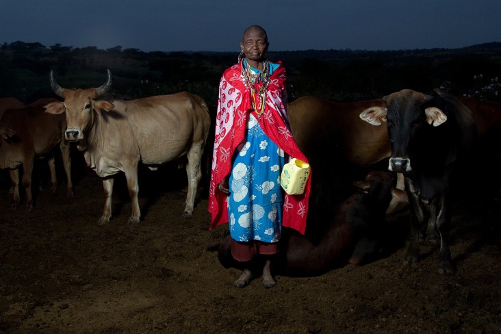 Thousands of Maasai women now have a reliable market for their milk thanks to a pioneering cooperative in Kenya.