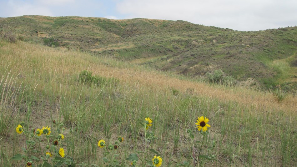 A view of West Bijou Site NNL in Colorado