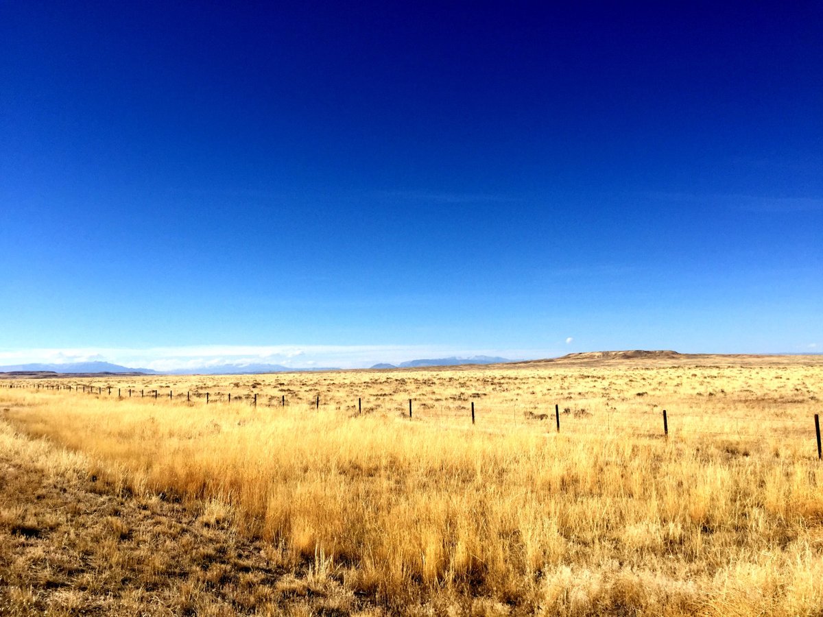 A fence made out of wire and wooden poles going through a large grassy field.