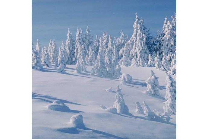 Photo of snow-covered landscape