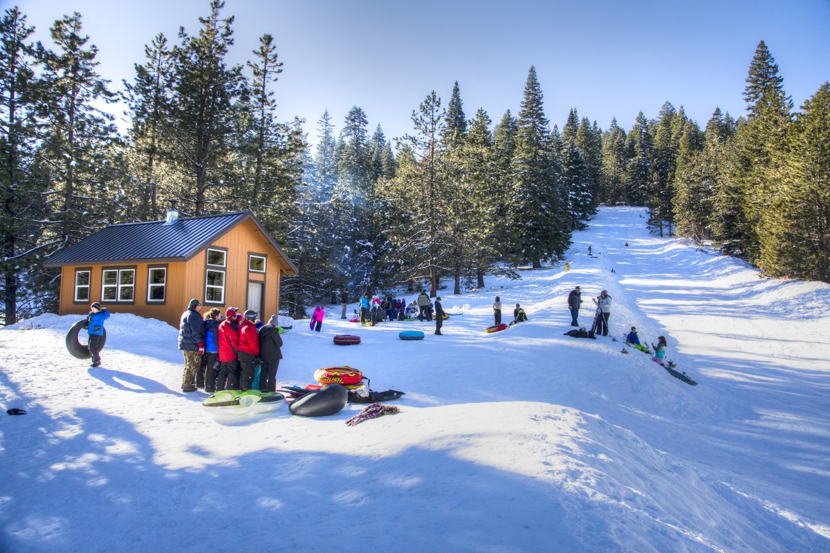 People slide down a snow-covered hill in a pine forest using tubes and sleds, as more groups of people in winter gear watch from the bottom of the hill in front of a small cabin.