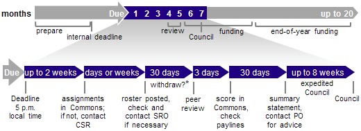 Timeline for Assignment and Review 