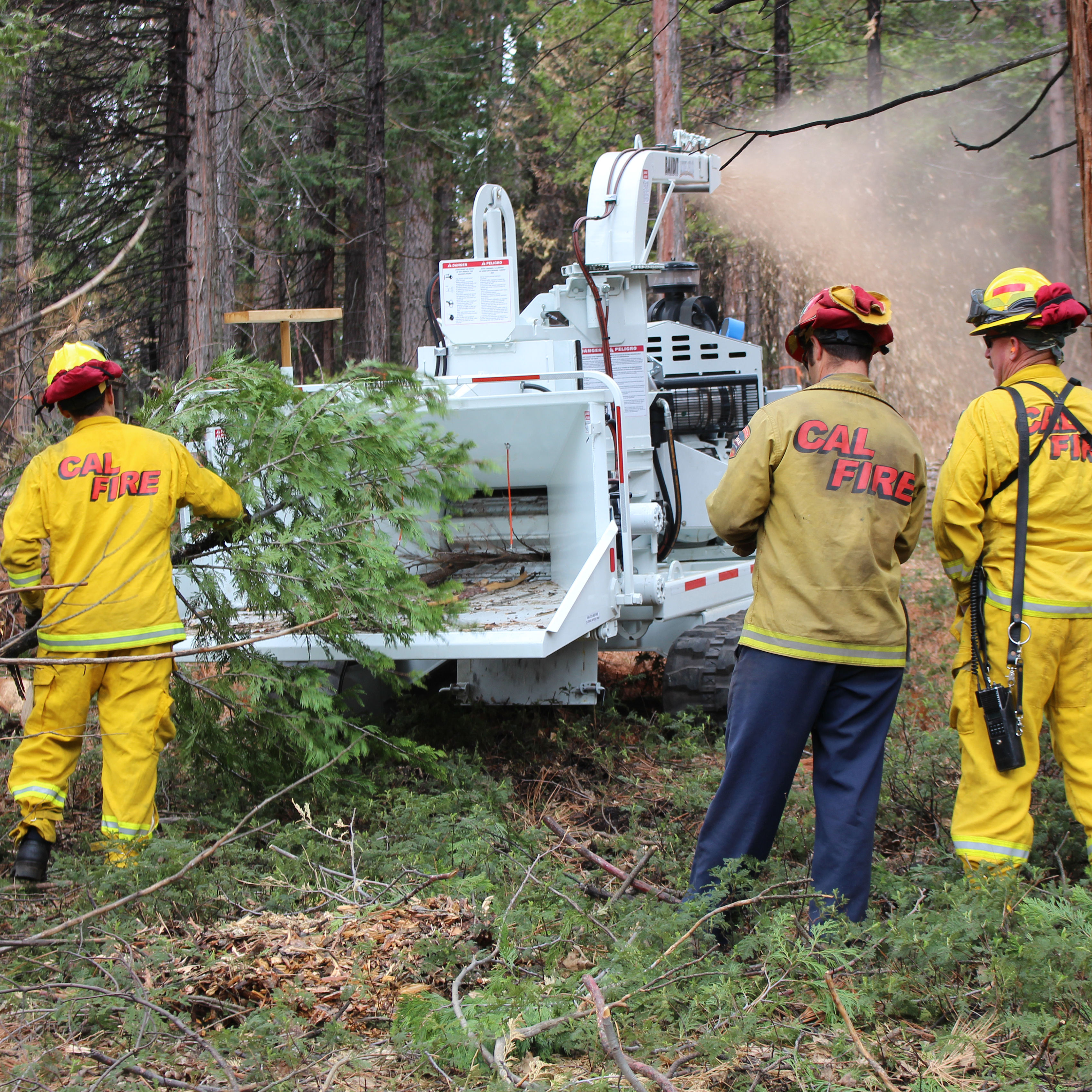 Grants Awarded for areas with tree mortality