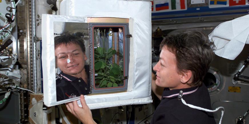 Peggy Whitson monitors a soybean plant growth experiment on one of her previous International Space Station (ISS) expeditions. Whitson, a former 4-H’er, is now the ISS commander. (NASA photo)