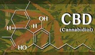 Chemical structure of Cannabidiol over marijuana leaf background