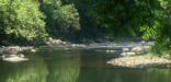 river flowing through forest