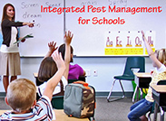 Teacher educating children on integrated pest management