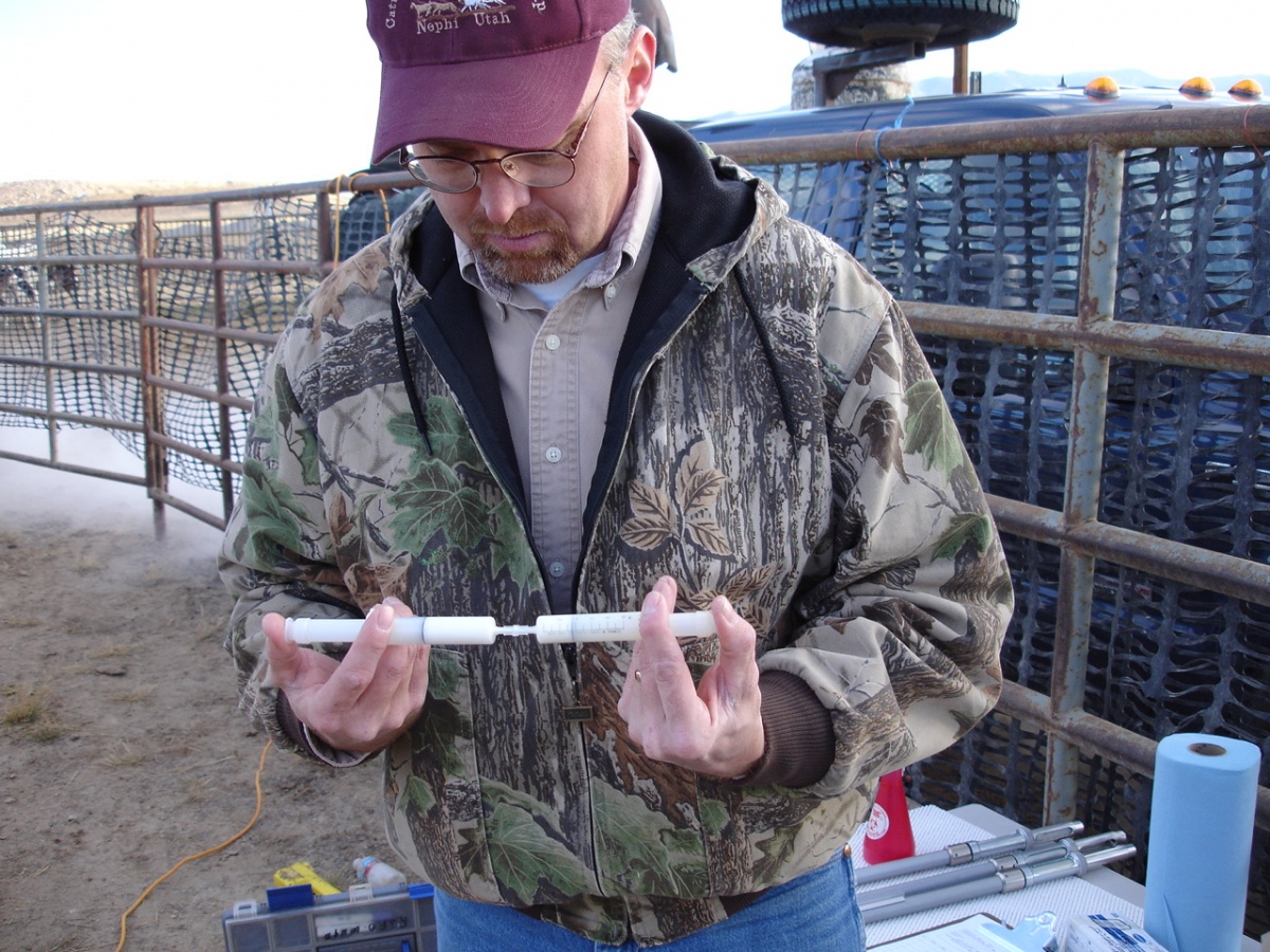 A man prepares medical syringes for wild horses and burros. BLM photo.
