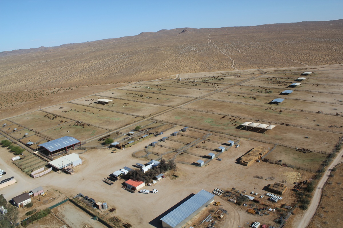 An aerial photo of a holding facility