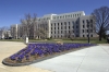 Exterior view of the Library of Congress John Adams Building with purple flowers growing in front of it.