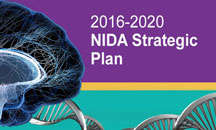 2016-2020 NIDA Strategic Plan