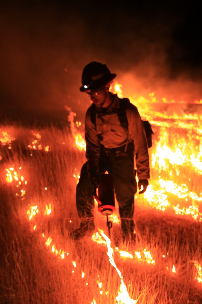 BLM firefighters ignite a prescribed fire at night. Credit: BLM