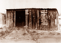 The woodshed used by Dr. Ralph Parker to perform tick research during the summer of 1920.