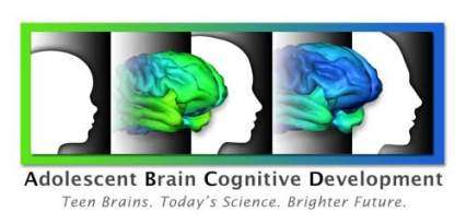 ABCD logo - brains at various levels of development according to age