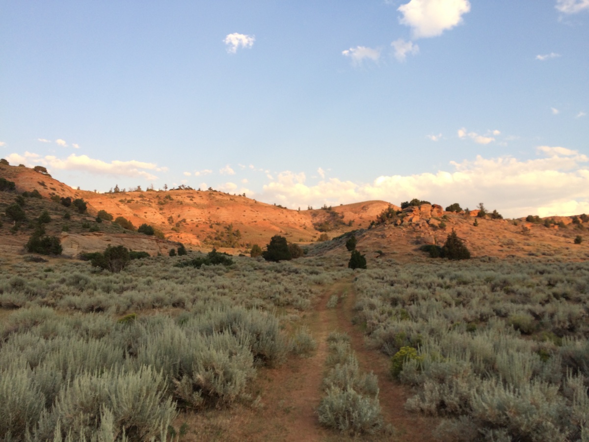 A two-track trail goes through the center with sagebrush on either side, leading up to a hill.