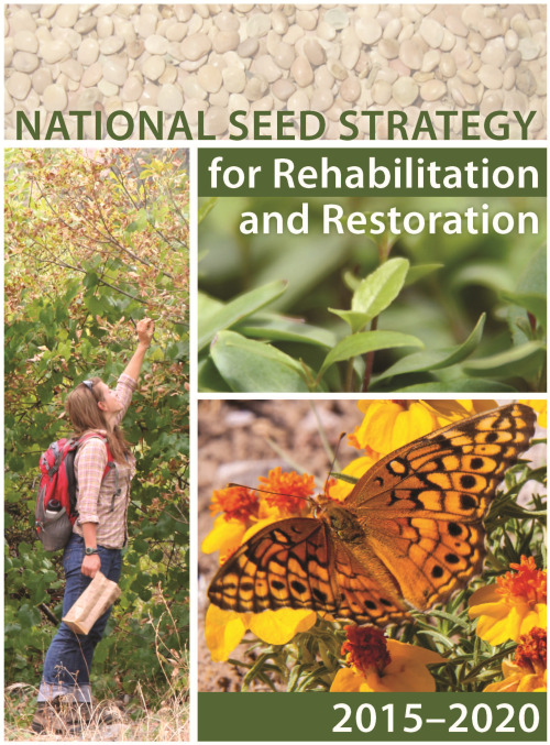 national seed strategy cover photo