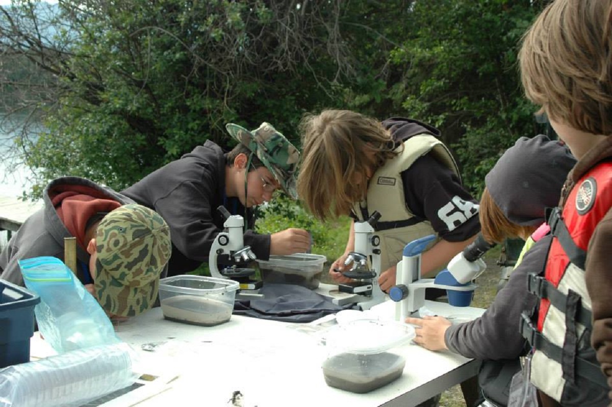 Aquatic Camp Students studying macroinvertebrets