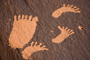 footprints image