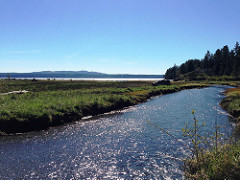 The Dosewallips Floodplain and Estuary Restoration