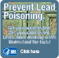 Prevent Lead Poisoning. Get your home tested. Get your child tested. Get the facts! Click here…